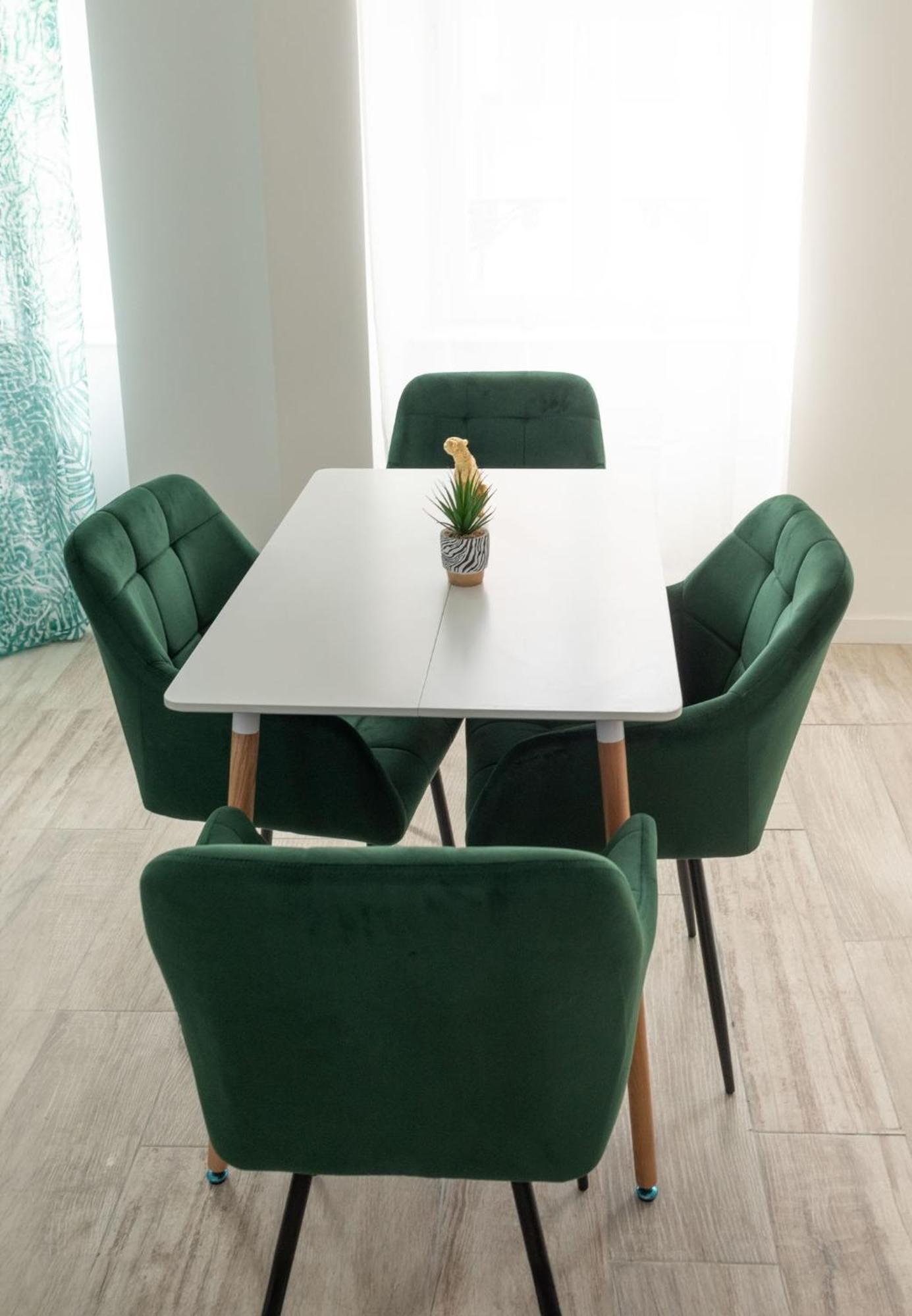 Jungle Lumineux Plein Centre Apartment Boulogne-sur-Mer